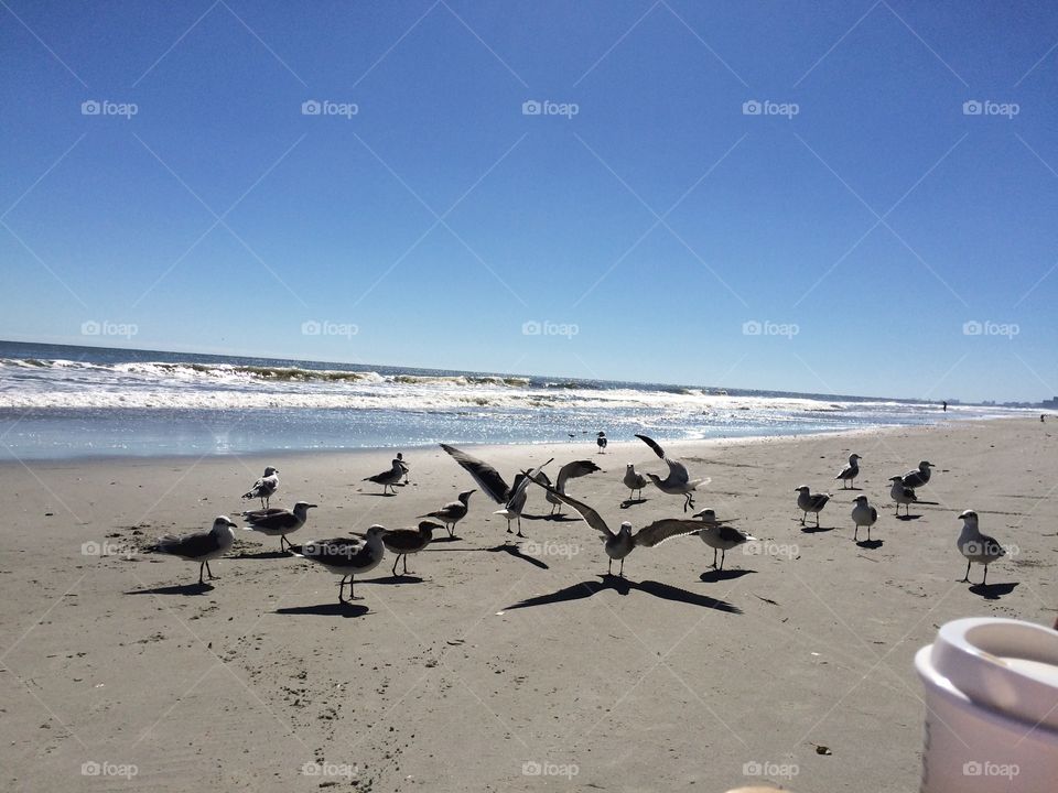 Beautiful beach