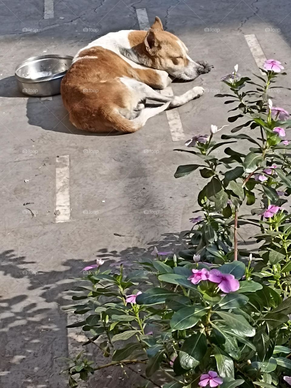 colours of hunger that no one can judge