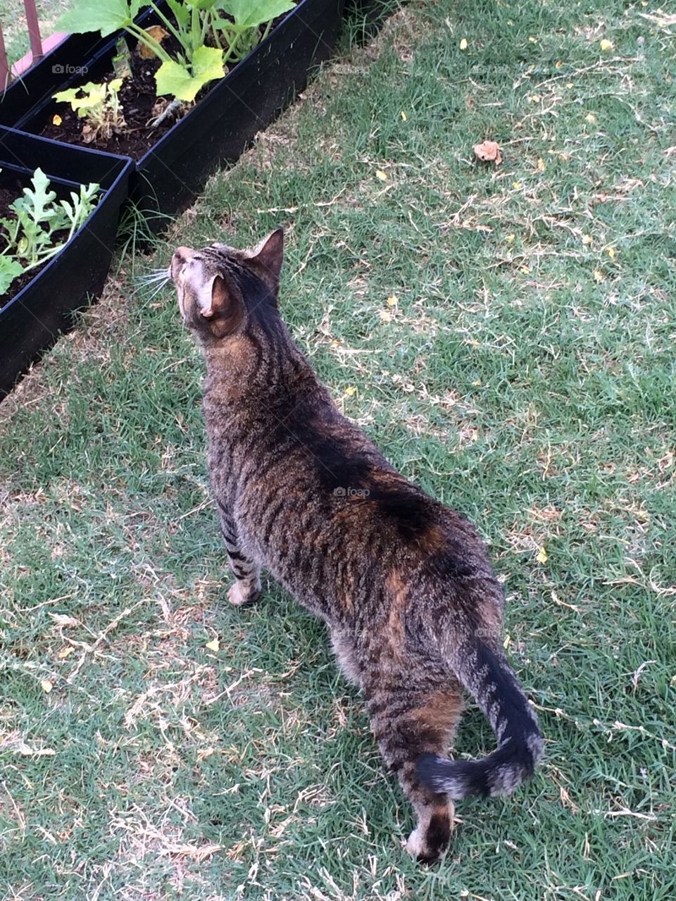 Exploring the Garden