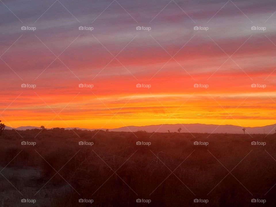 Fiery sunset from out vacant property in California!