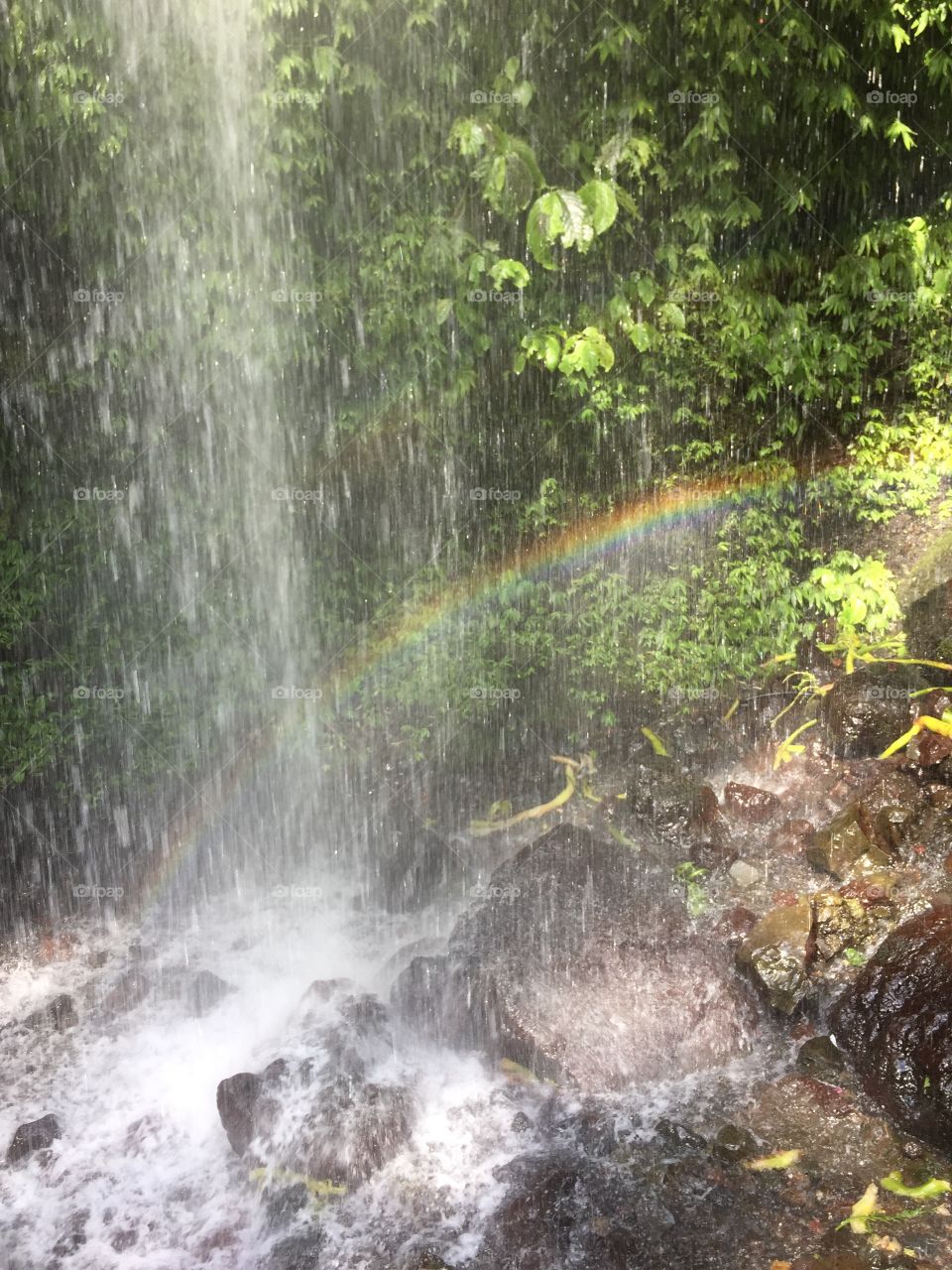 have u ever see rain 🙌🌨🌈🌤
#🌈 #🌧🏹 #raindrops #waterfall #showerofnature ##rainbow #benangkelambu #airterjun #beautifulfall #cooling #refreshing #lombok #mataram @ Benang Stokel And Benang Kelambu Waterfall