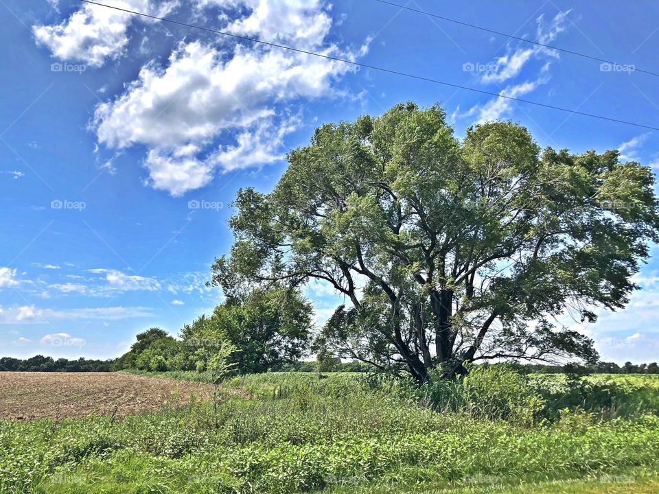 Kansas scene