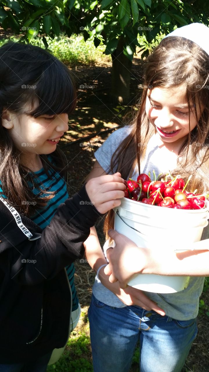 Two girl looking at bucket full of cherries