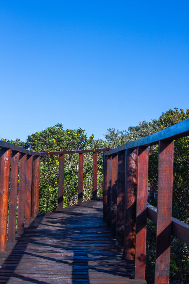 beautiful Path