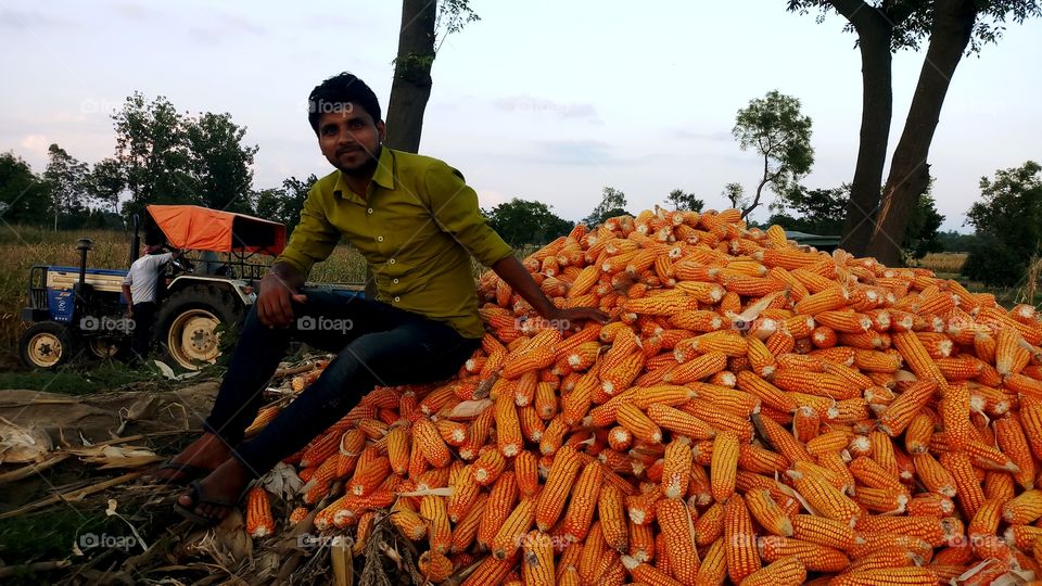 happy farmer with maize