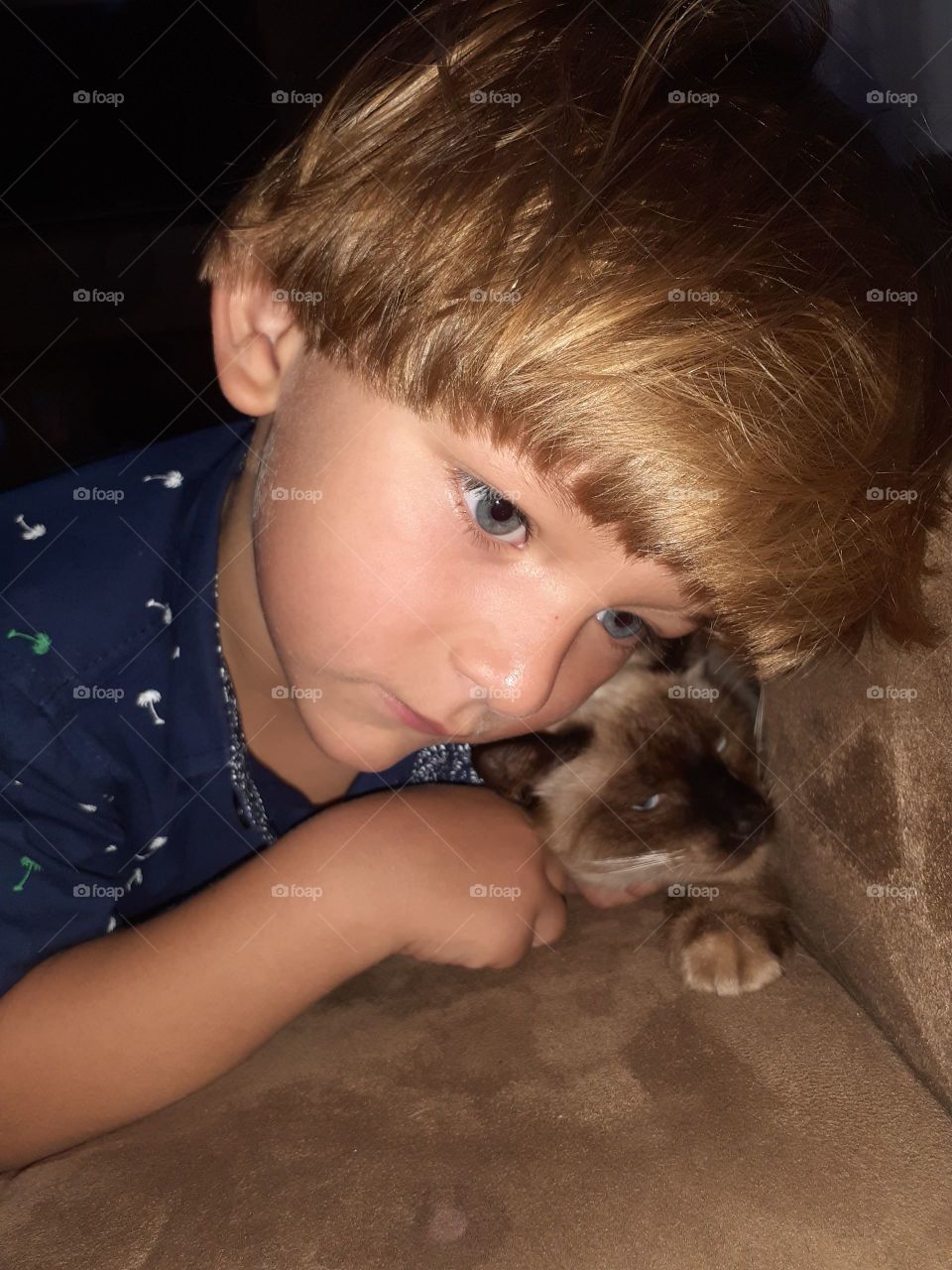 pretty child playing with the kitten