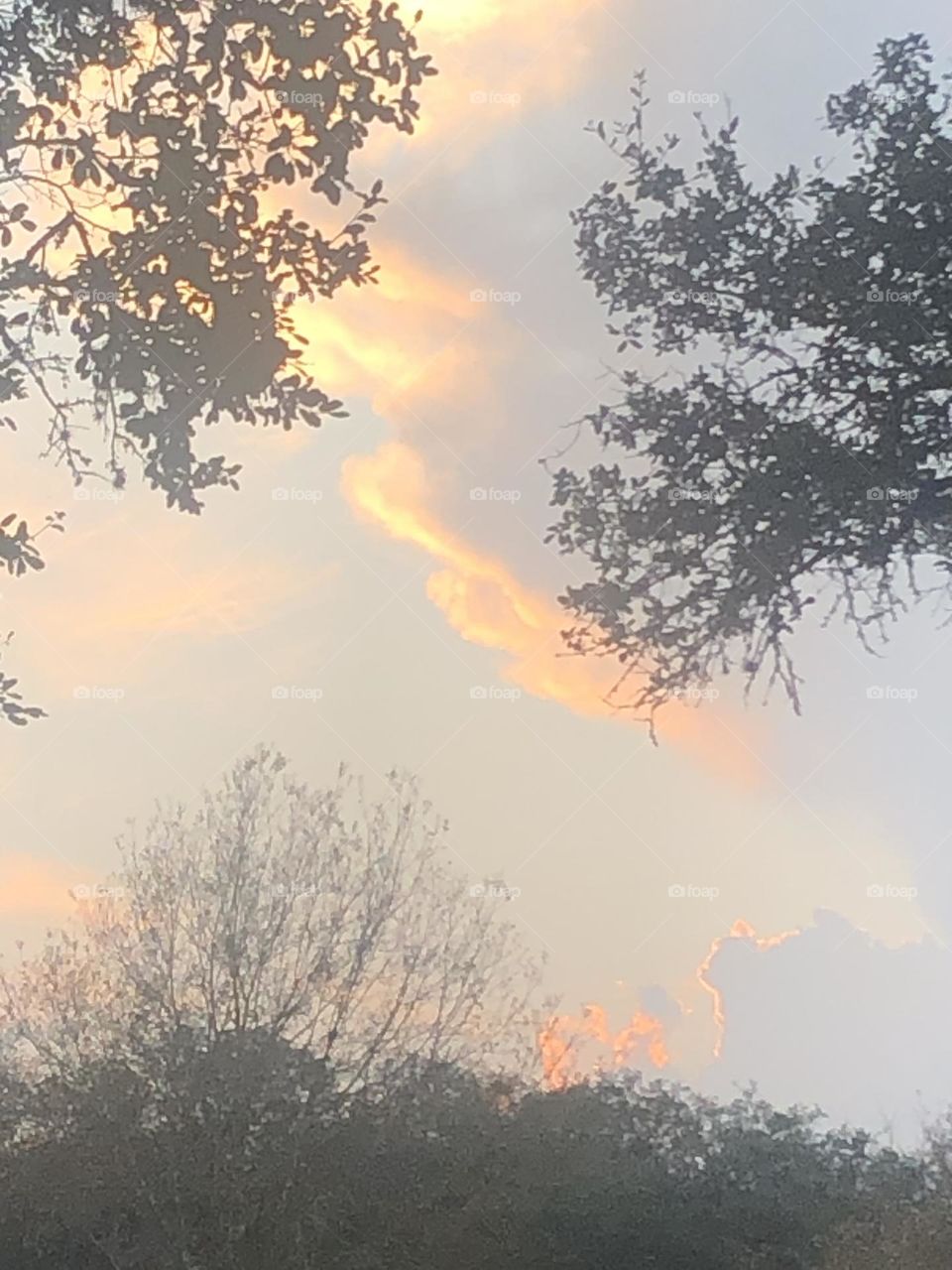 Another beautiful sunset at the ranch in Texas. The sky was calming and serene and no filters. 