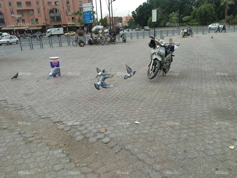 Beautiful Motocycle in the square.