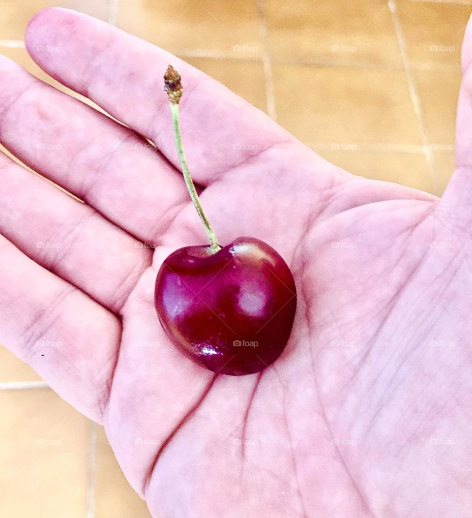 🇺🇸 Hmm… I ate this delicious cherry. They are rich in iron and are good for the heart. Eat fruits for good health! / 🇧🇷 Hum… comi essa deliciosa cereja. São ricas em ferro e fazem bem ao coração. Coma frutas para uma boa saúde!