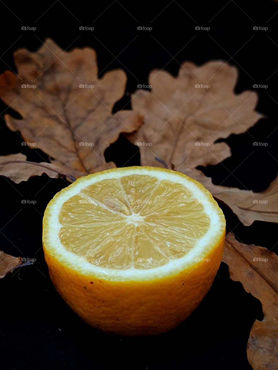 Autumn composition.  Food.  Half a lemon with dried oak leaves around it.  Black background