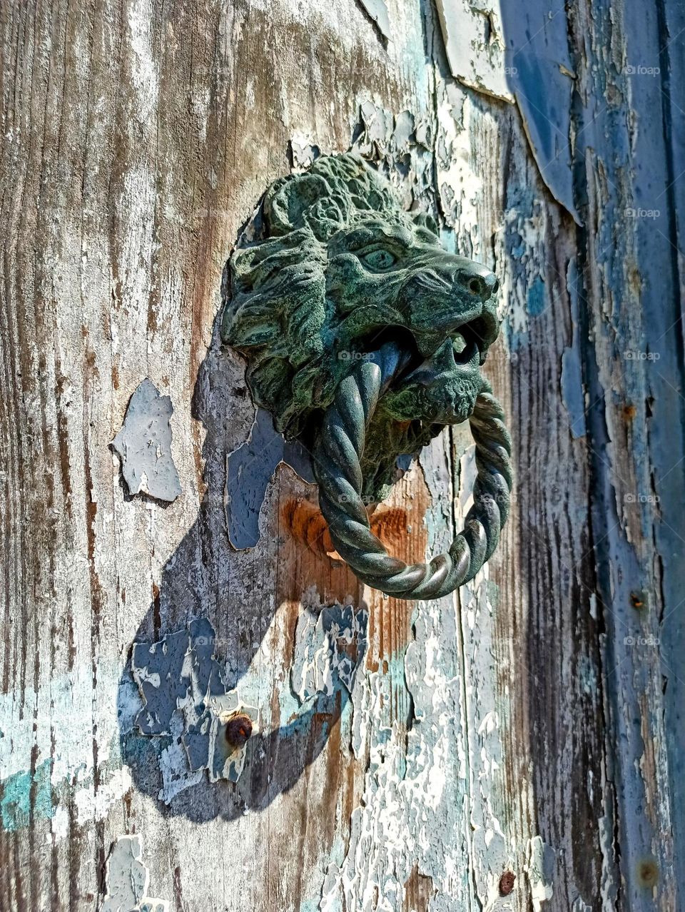 Door knobs. Unusual doorknobs. lion door knobs. lion door handle.
accessories, doors, art, architecture, unusual, vintage doors, vintage doorknobs. Knob, doorknob , Venice door knobs, Italian knobs, Venice, Italy.