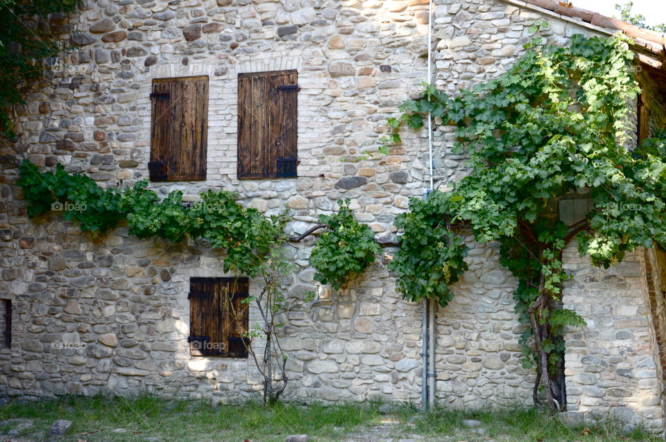 wooden windows of a country house that look like a face