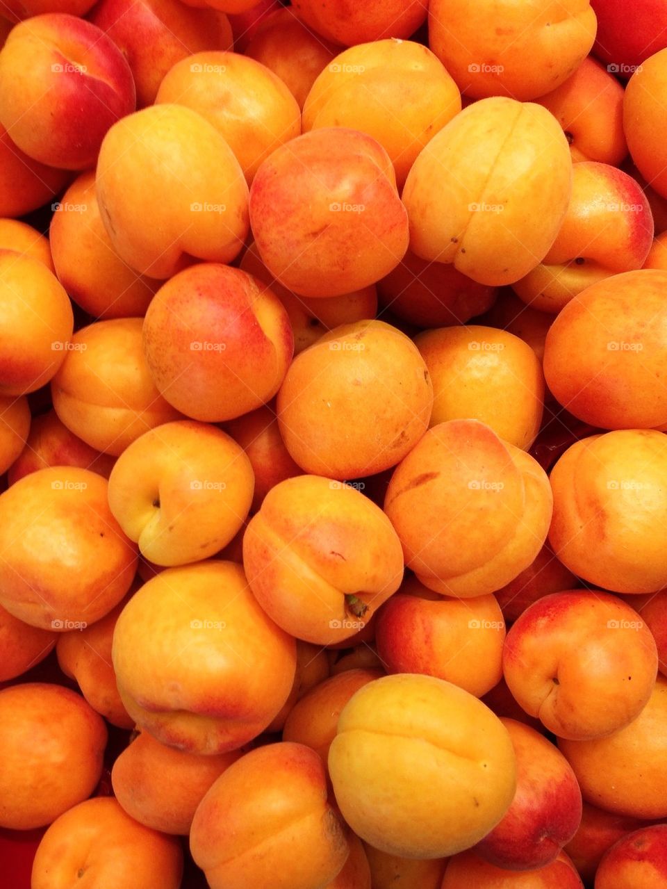 Fresh orange apricots