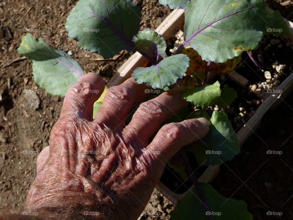 Hand gardening 