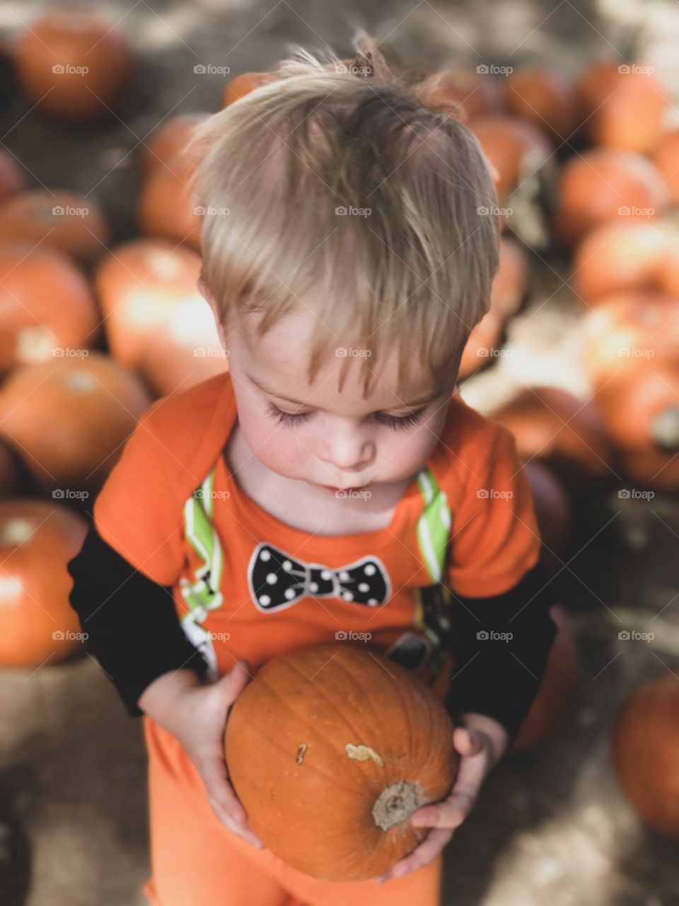 Toddler Boy Holding Pumpkin At Pumpkin Patch 