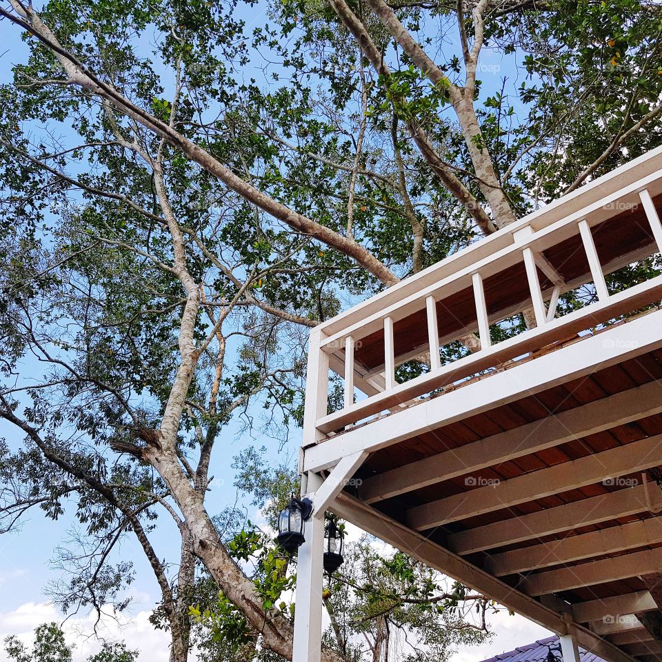 White wooden balcony under trees