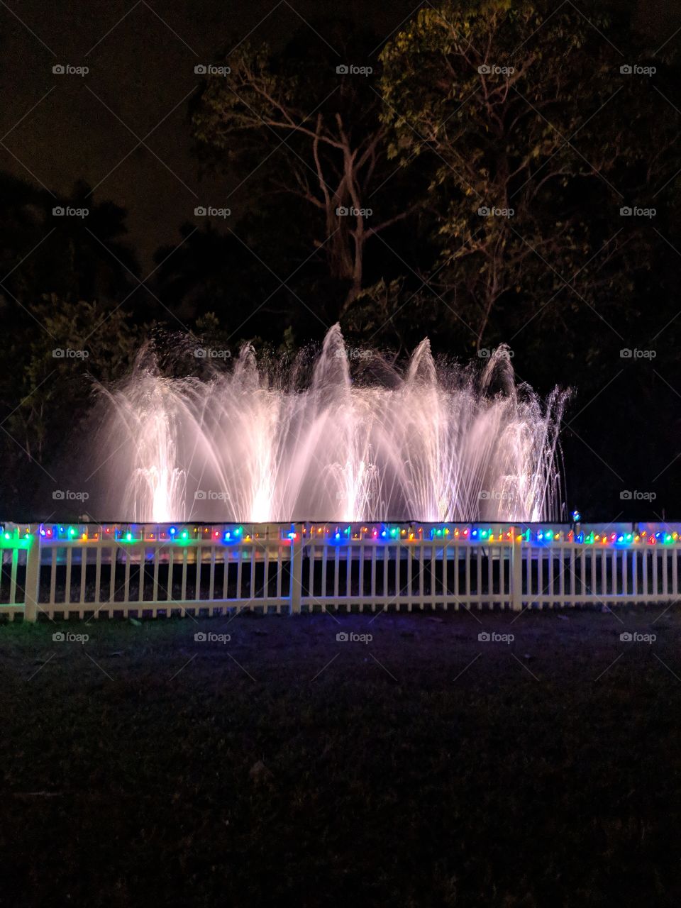 Dancing Waters at the winter estate of Edison and Ford, Fort Meyers, FL taken 12/2018
