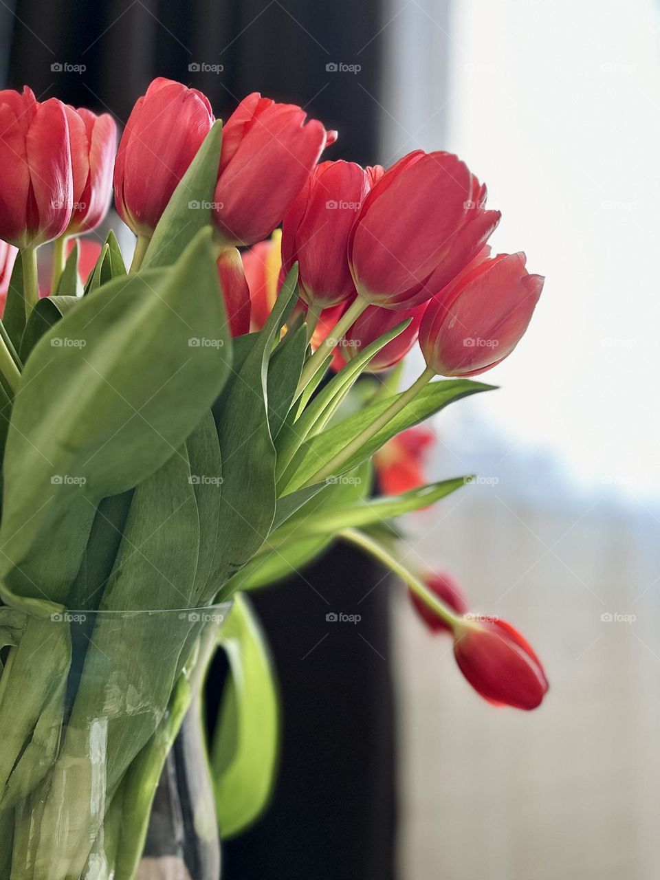 red tulips in a vase by the window