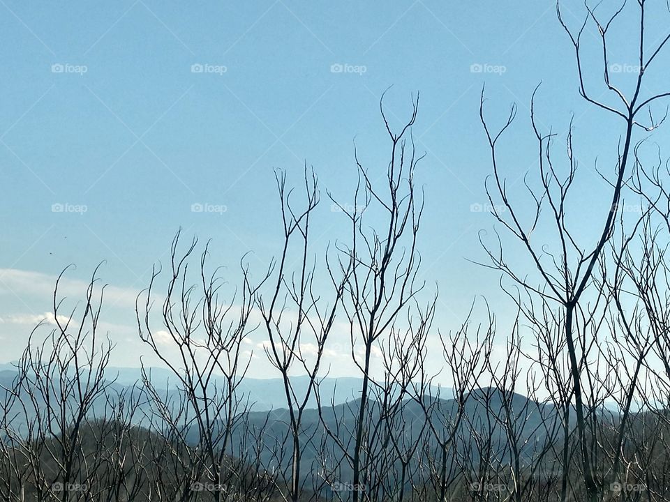 Smoky Mountains background