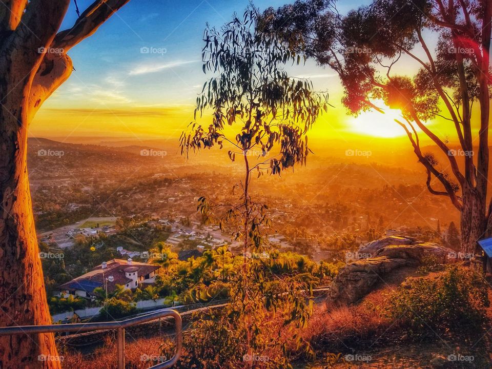 ILLUMINATION of Lights