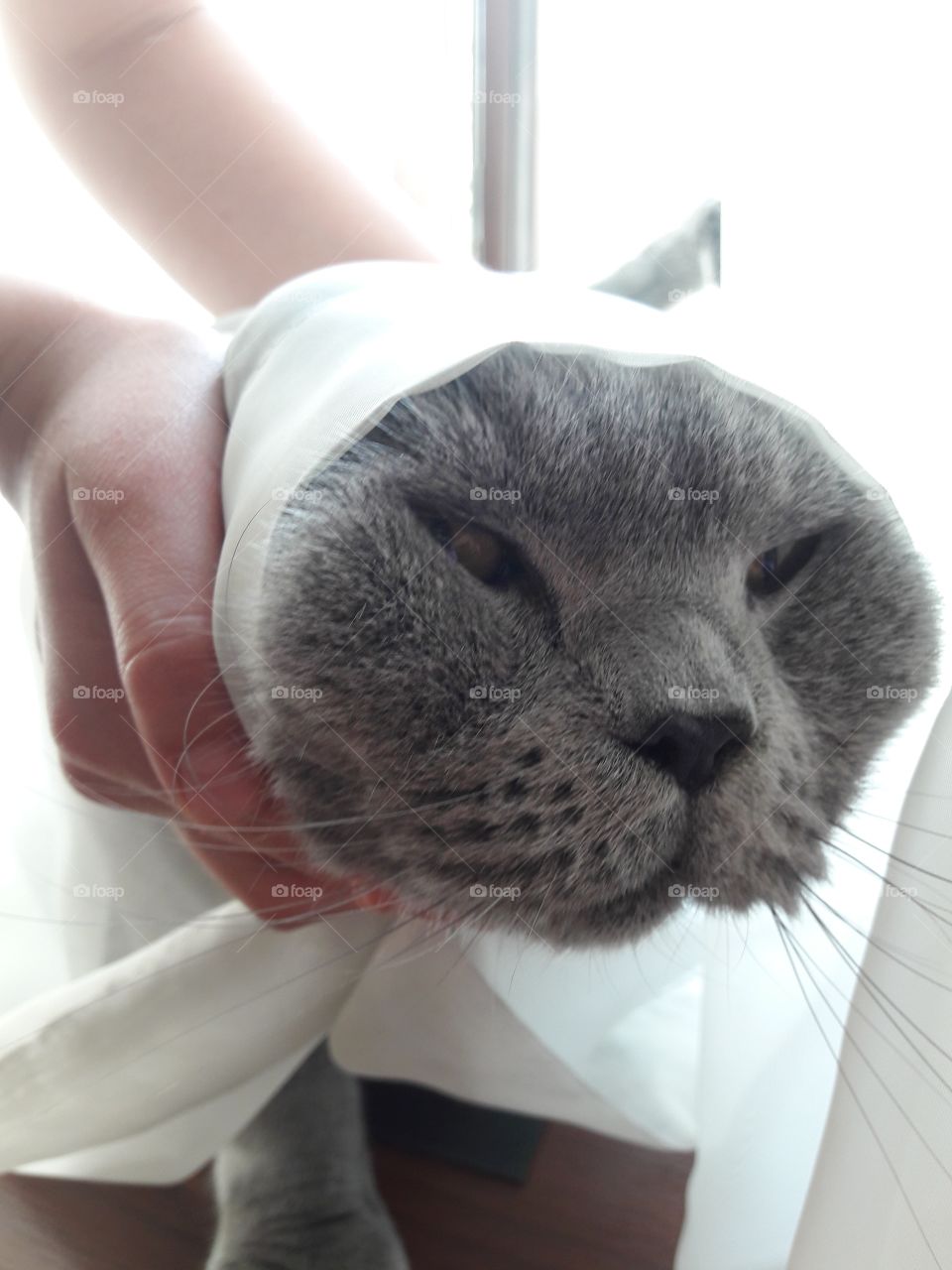 spring summer outdoor