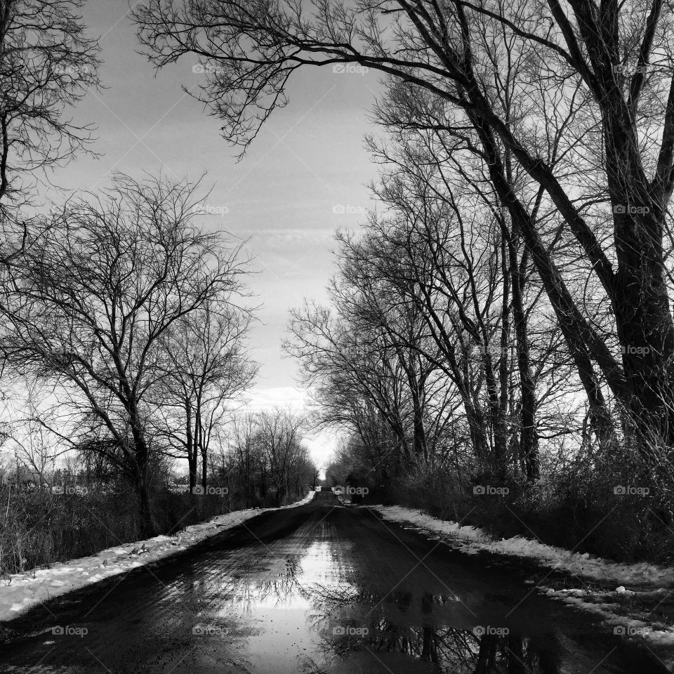 Empty Road. Black and white Wintery Road