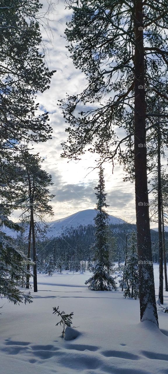 Finnish Lapland around Ylläs at its best in early March