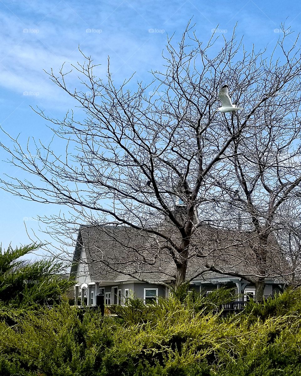 House On The Lake