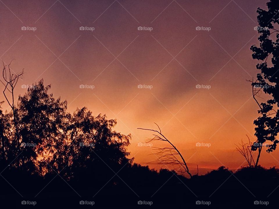 With such a beautiful fall day and the Sunset Colors heading in the right direction then what pops out the very long but not predictable Sunset Rays that all photographers wait patiently to capture a Beautiful Color Array and then it’s gone. Yea !