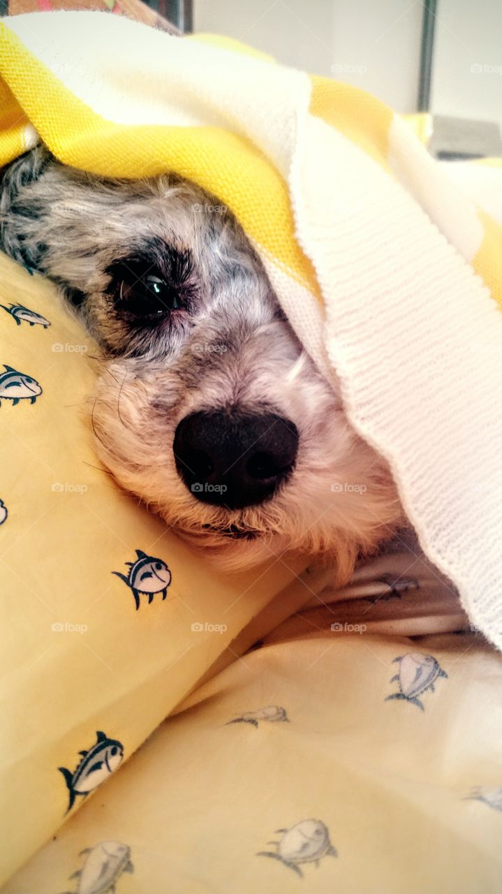 a lazy day is sometimes okay!