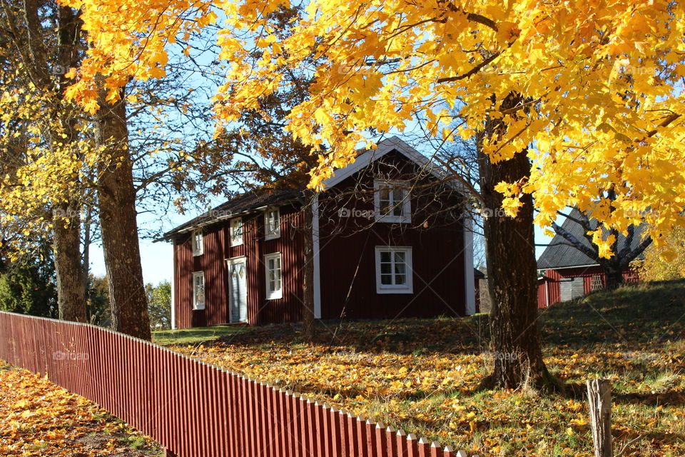 Autumn in Sweden