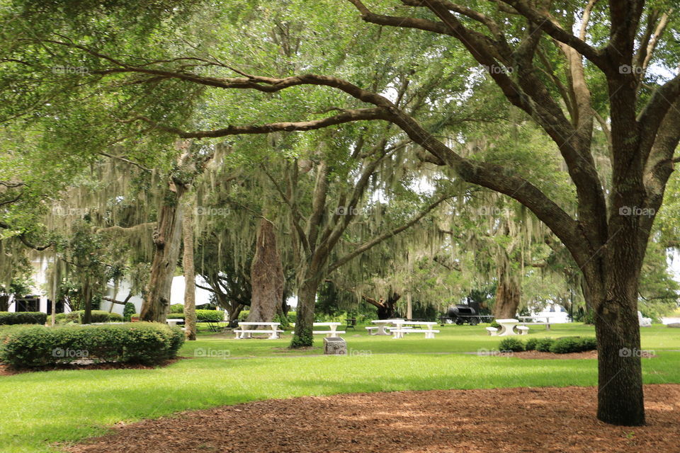 Court Yard