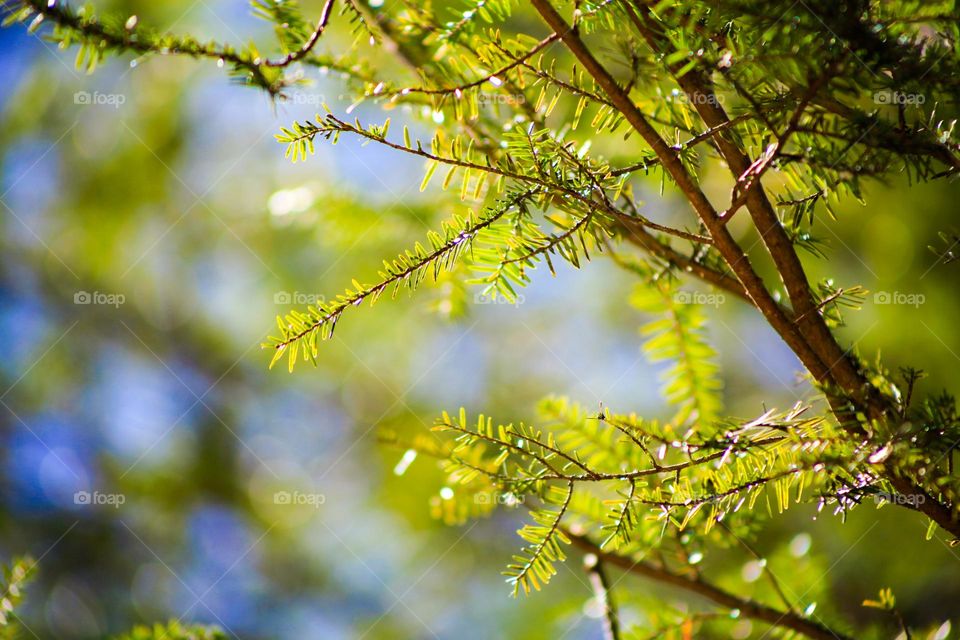 Enjoying this beautiful spring day 