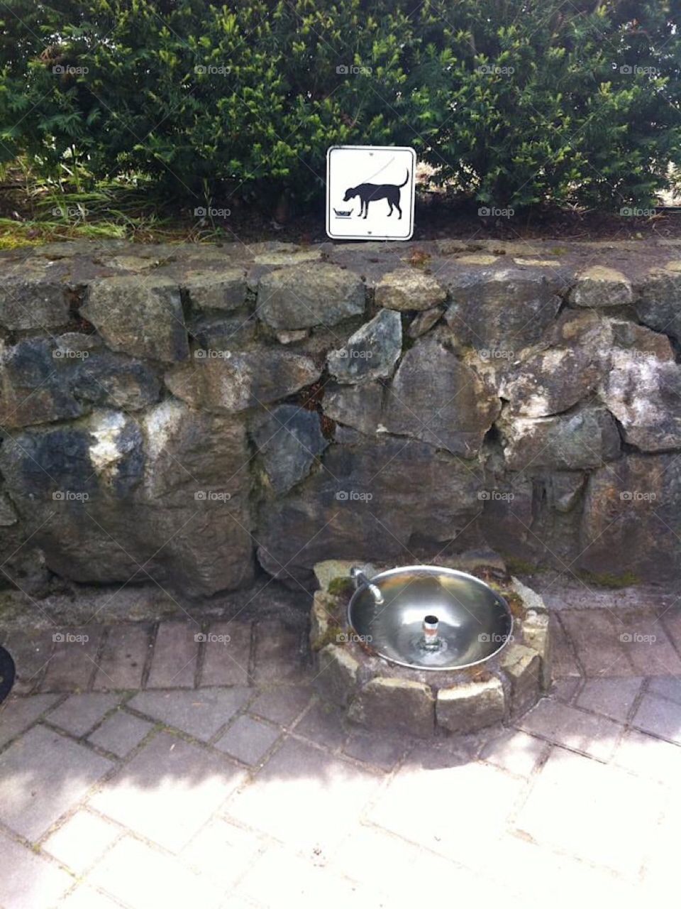 Alls dogs welcome! At Butchart Gardens in Victoria, BC...dogs have their own drinking fountains along the paths. Canada 🇨🇦 
