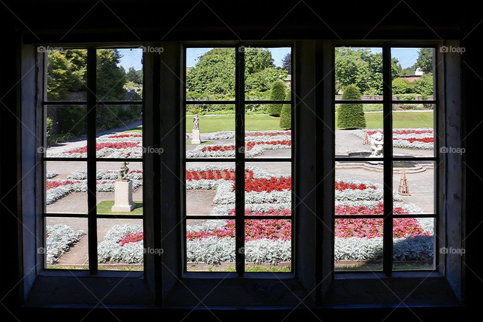 Beautiful view of garden through the window