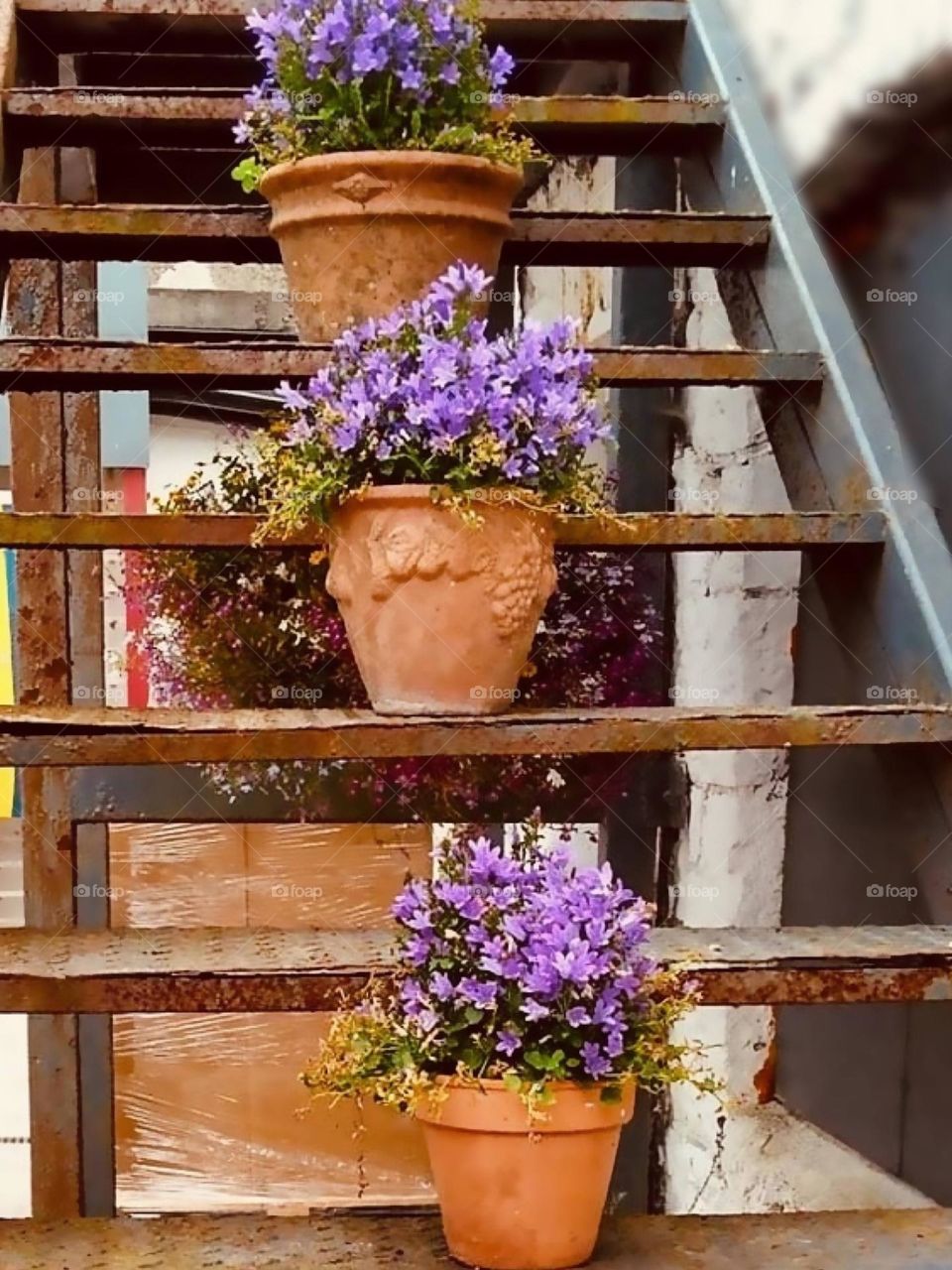 Flower pots on the stairs