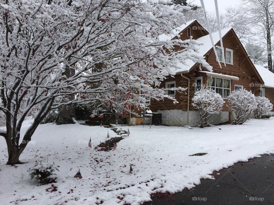 First snow of the season and our log cabin