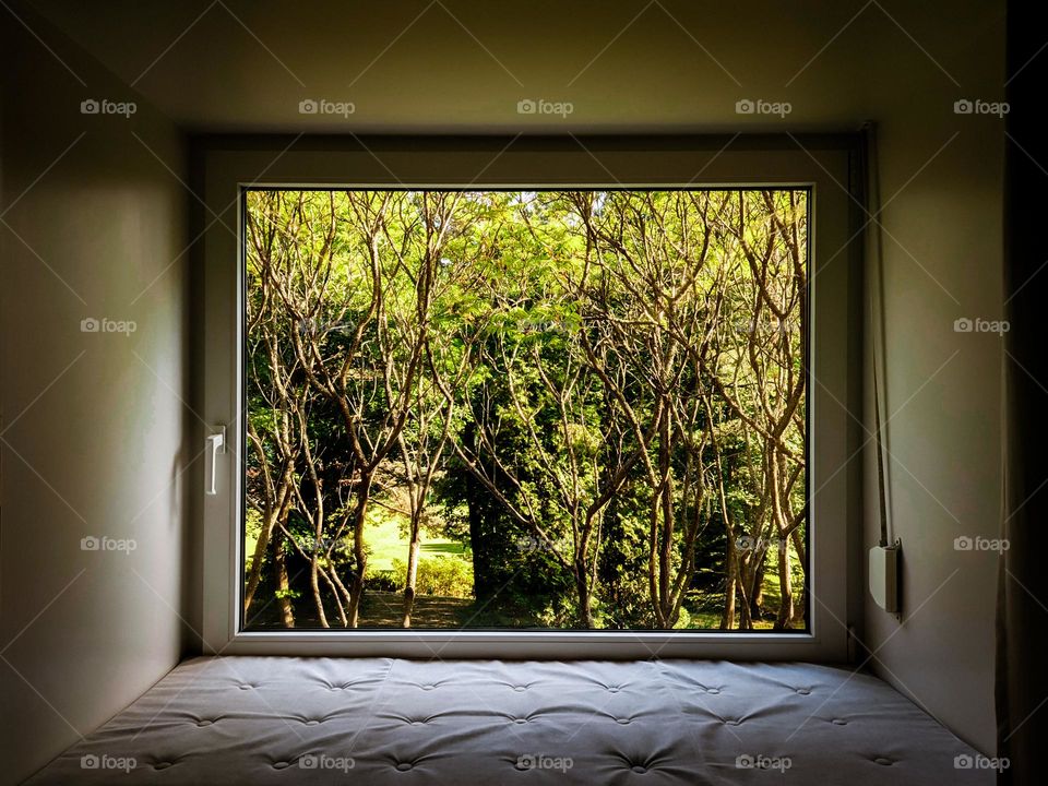 Light through window