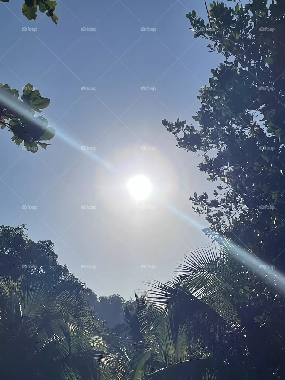 ☀️