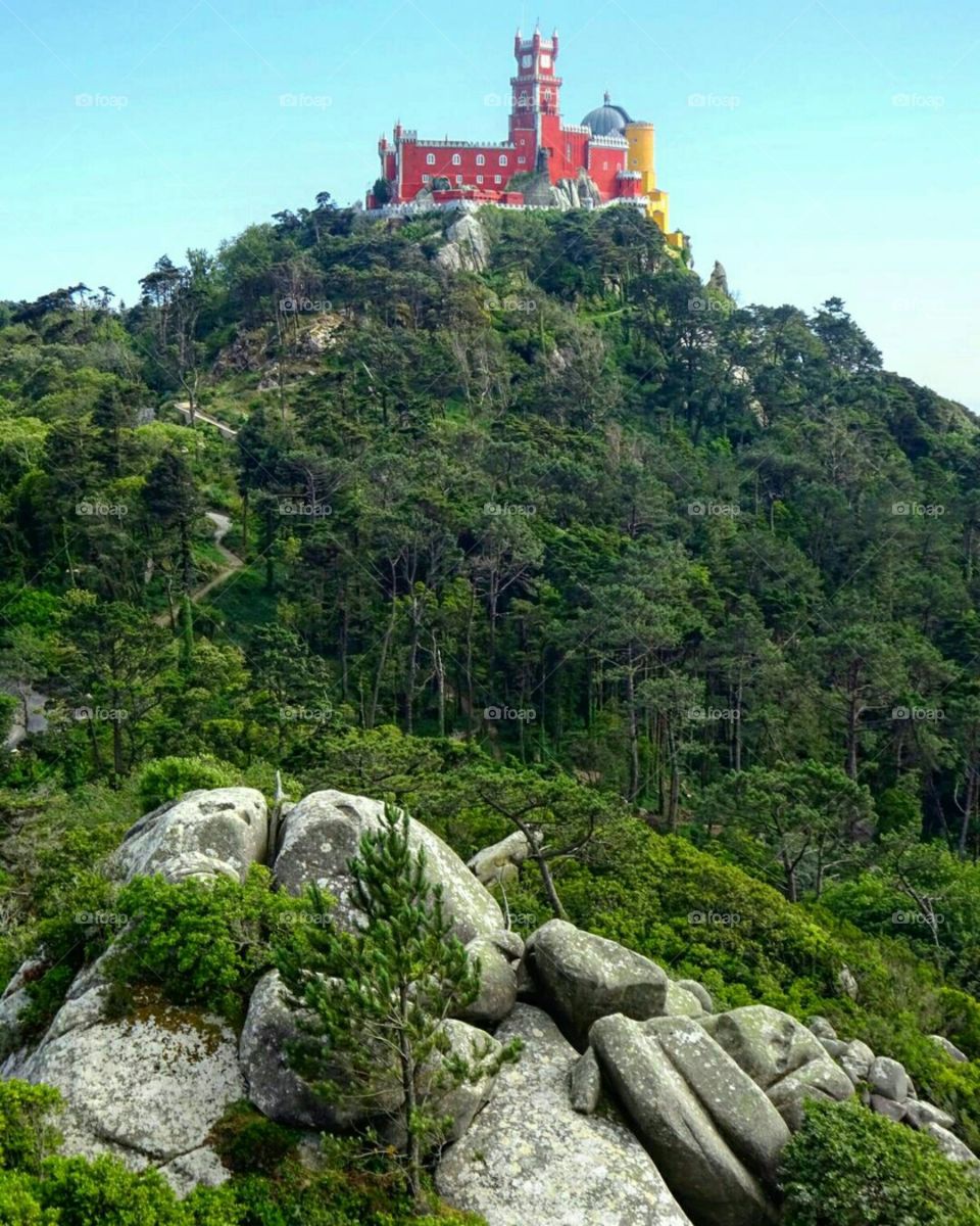 His Majesty Palacio da Pena, a major example of Romanticist architecture and the most beautifully bizzare mixture of eclectic styles.