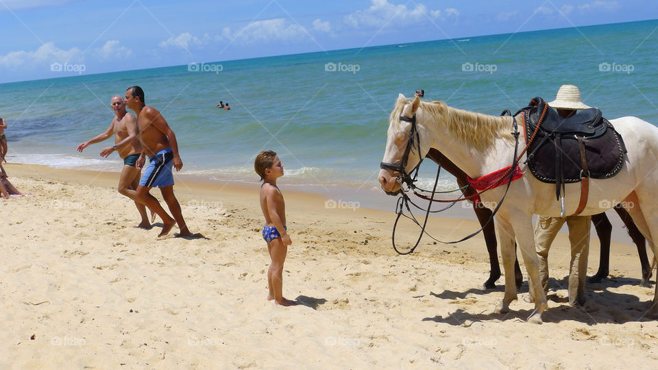 beach horse brazil bahia by farmboy