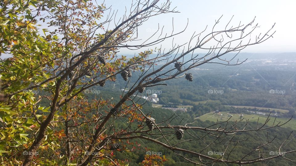 self improvement months