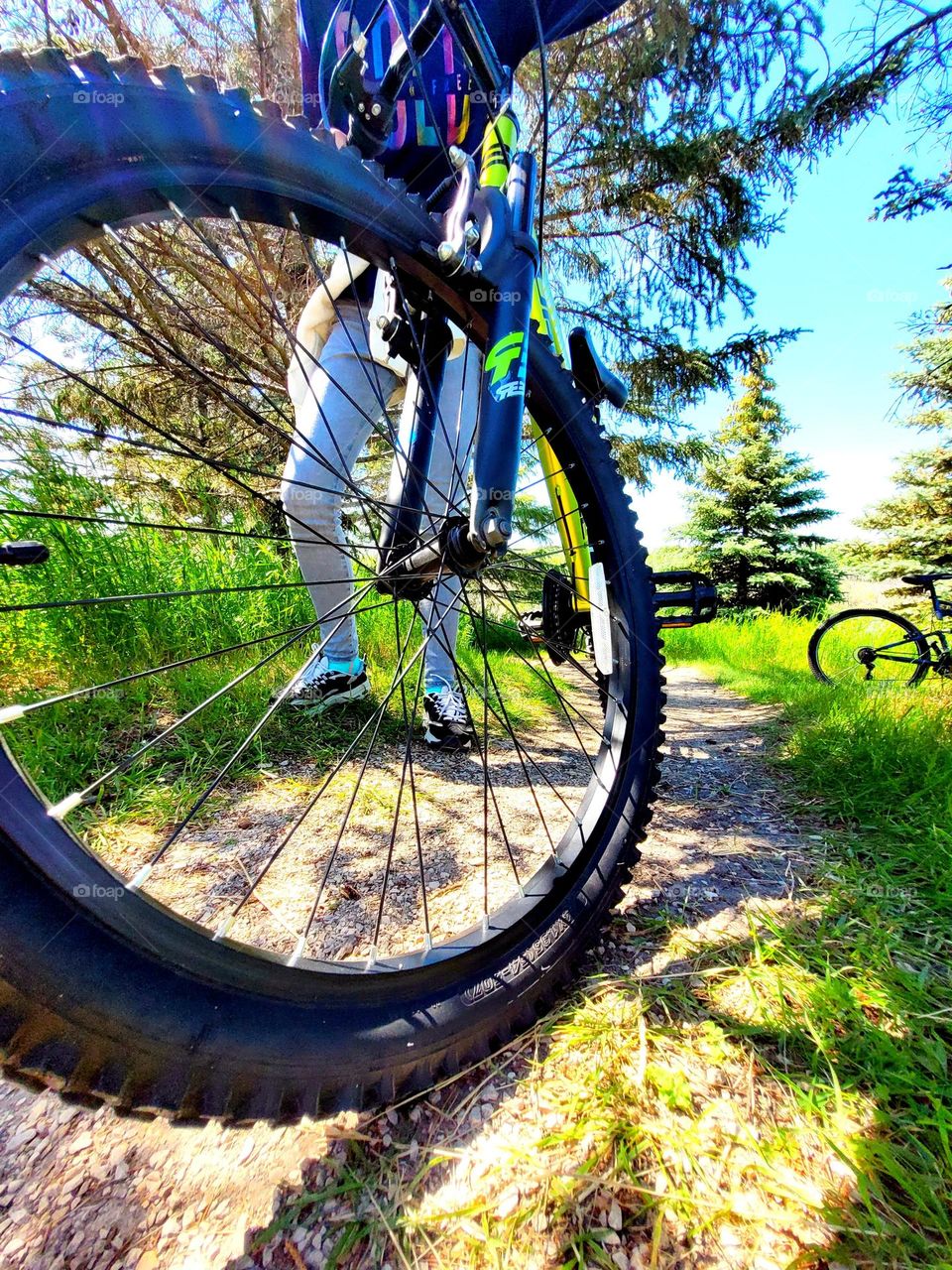 bike trip in the forest