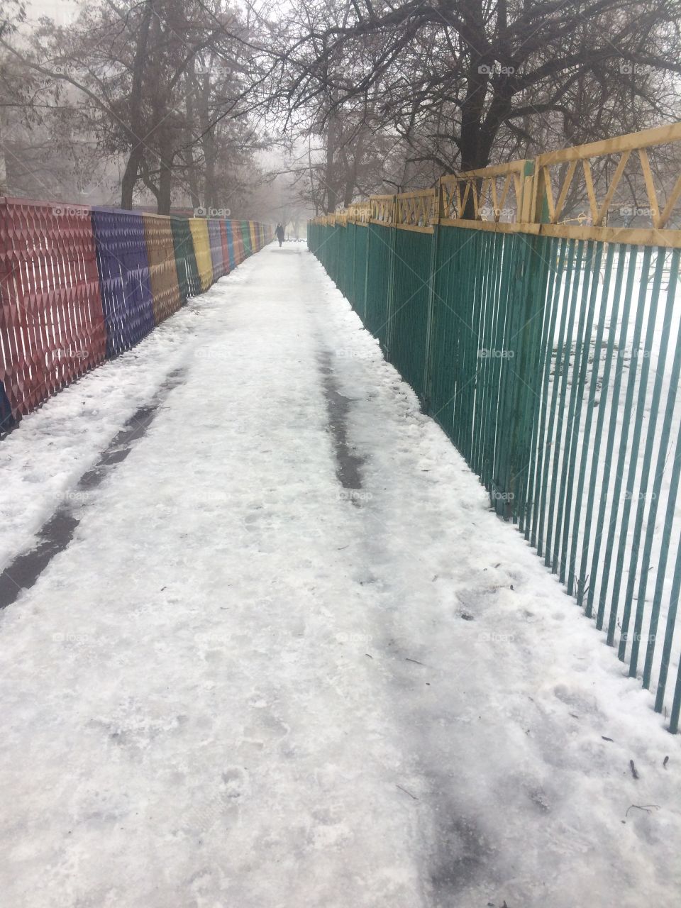 the street in early spring