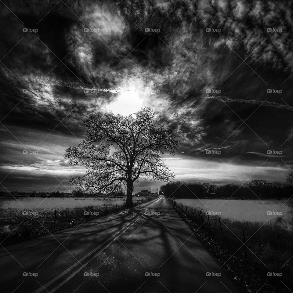 A tree next to road against stormy sky
