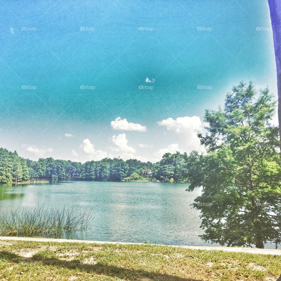 Blue and green . A view of a lake 