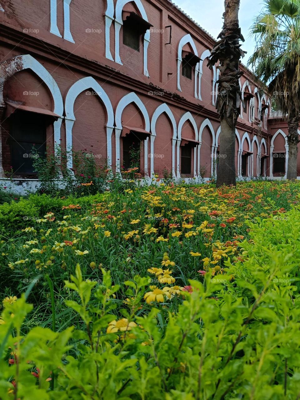 That tree next to the building looks like it's trying to sneak into the city life! 🌳🏢 What a great urban nature combo!