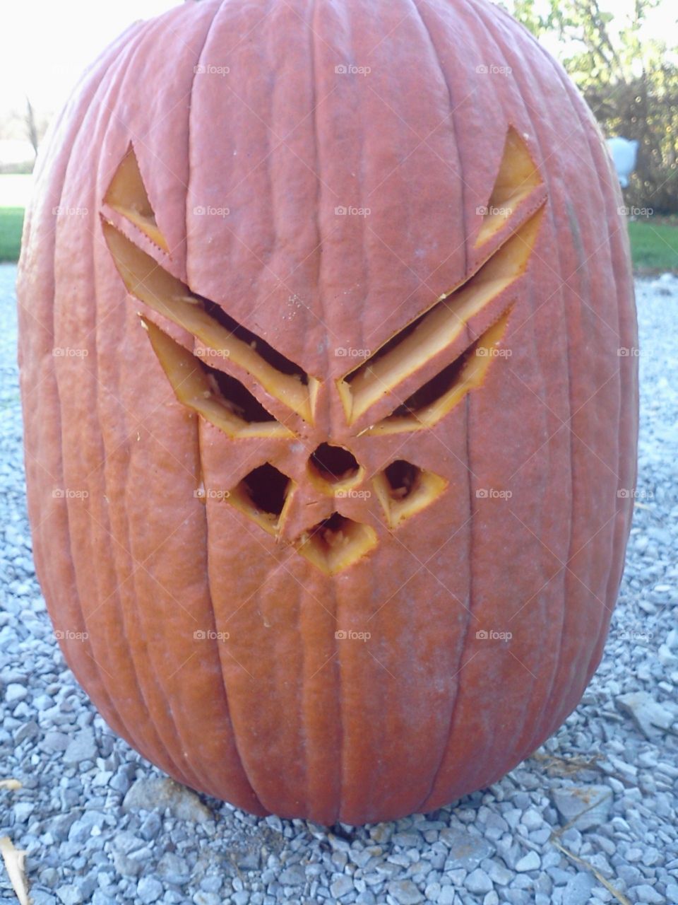 Air Force Pumpkin