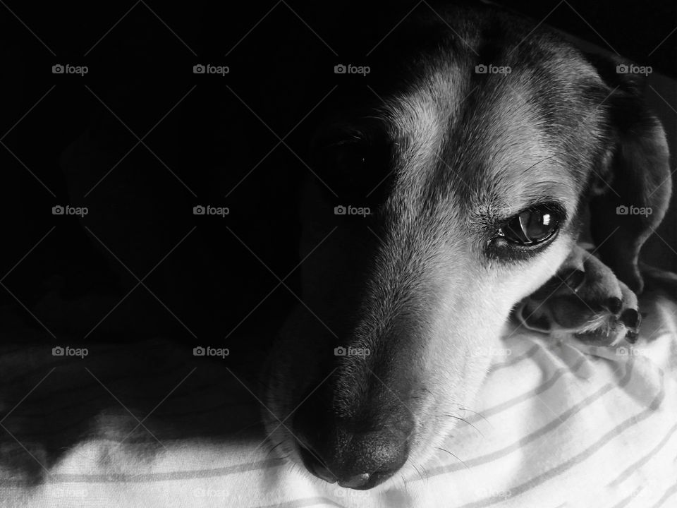 She is my one and only!