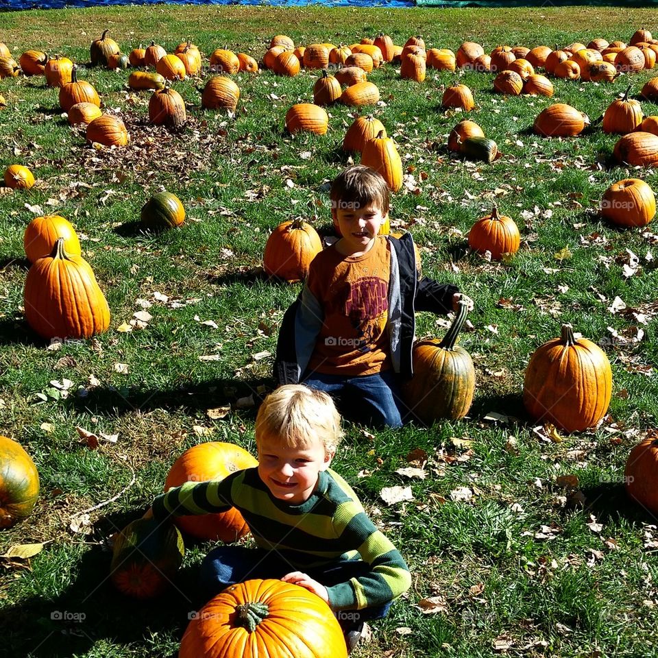 Pumpkin Patch